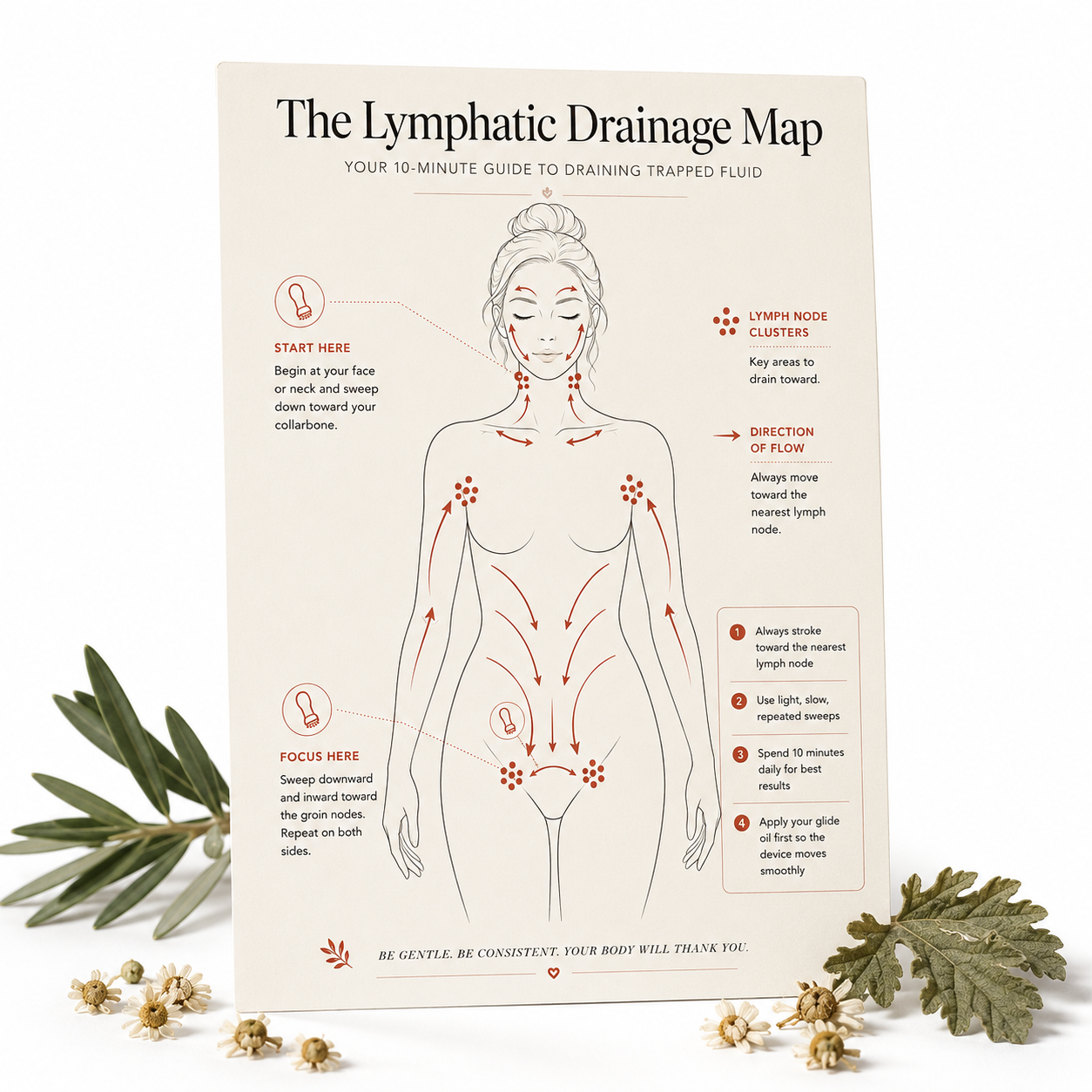 Lymphatic Drainage Map
