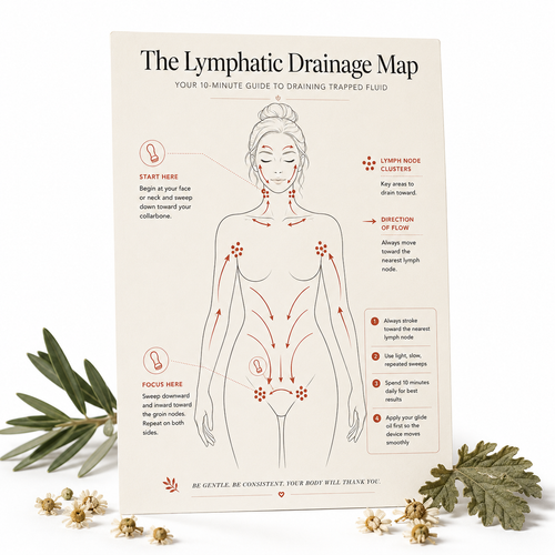 Lymphatic Drainage Map
